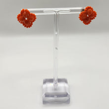 Topa Collection Earrings