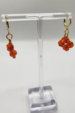 Topa Collection Earrings