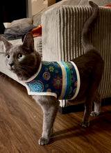 Pet Ribbon Shirt