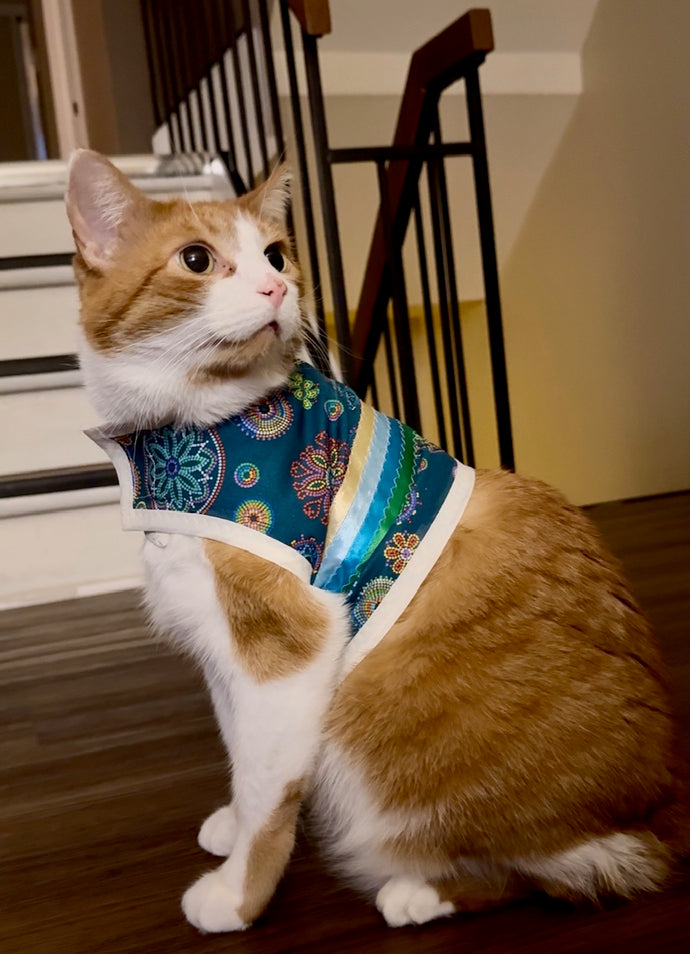Pet Ribbon Shirt